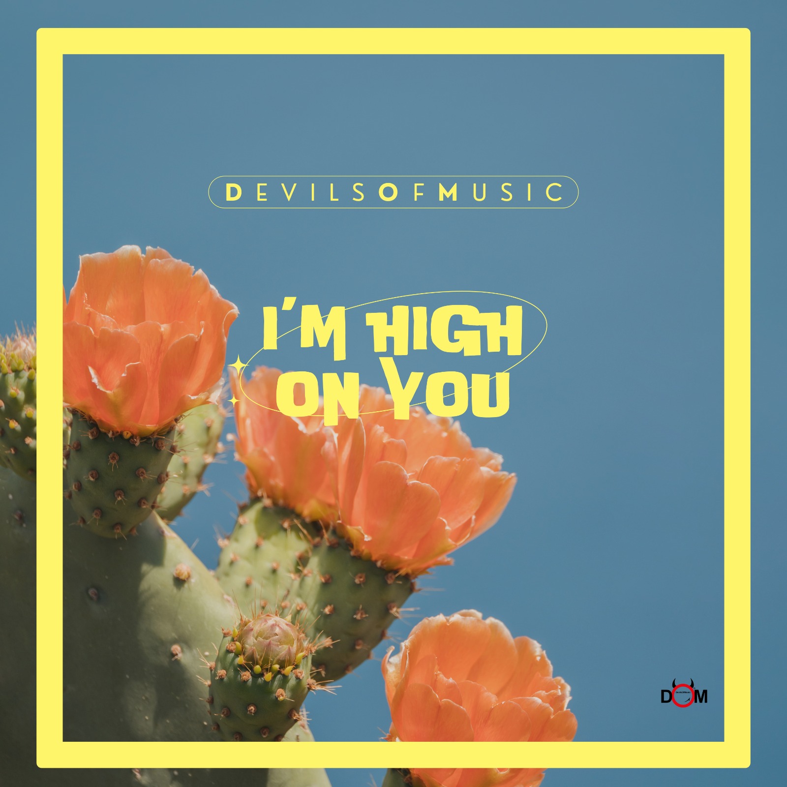 prod_track-files_1764282_album_cover_DevilsOfMusic-im-high-on-you-album_cover