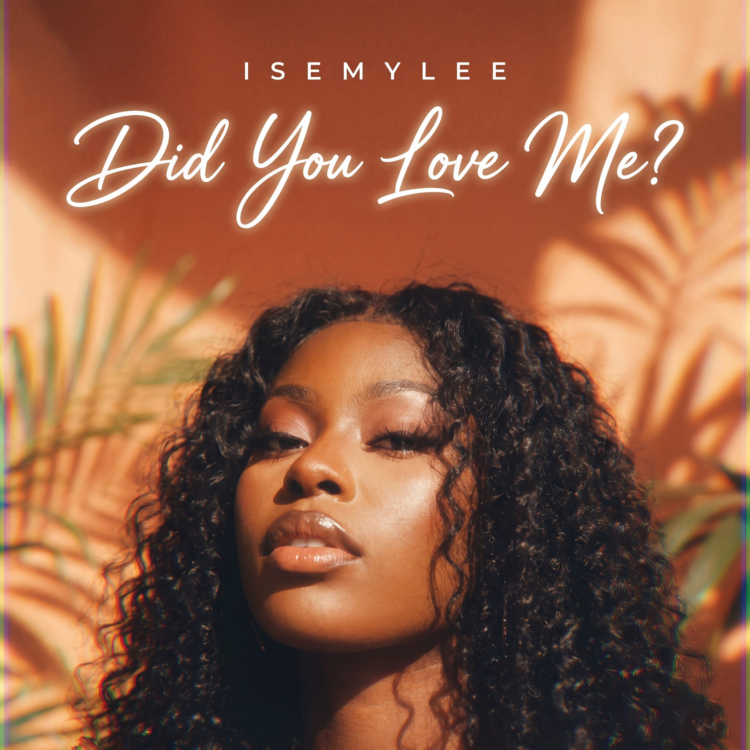 prod_track-files_1935458_album_cover_Isemylee-isemyleedid-you-love-me-km-f-silans-album_cover